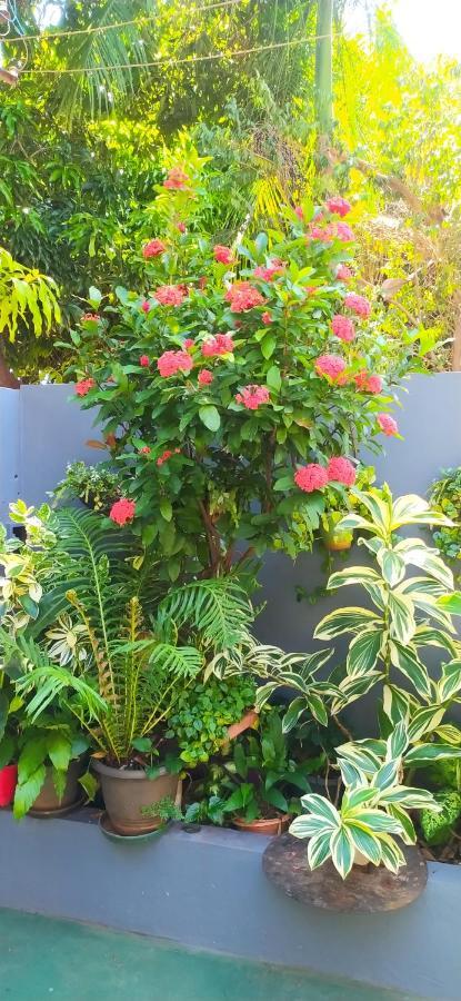 Miguel Departamentos 1 Apartment ปูแอร์โตอีกวาซู ภายนอก รูปภาพ