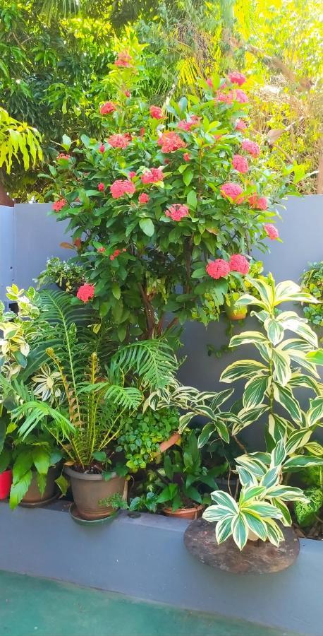 Miguel Departamentos 1 Apartment ปูแอร์โตอีกวาซู ภายนอก รูปภาพ